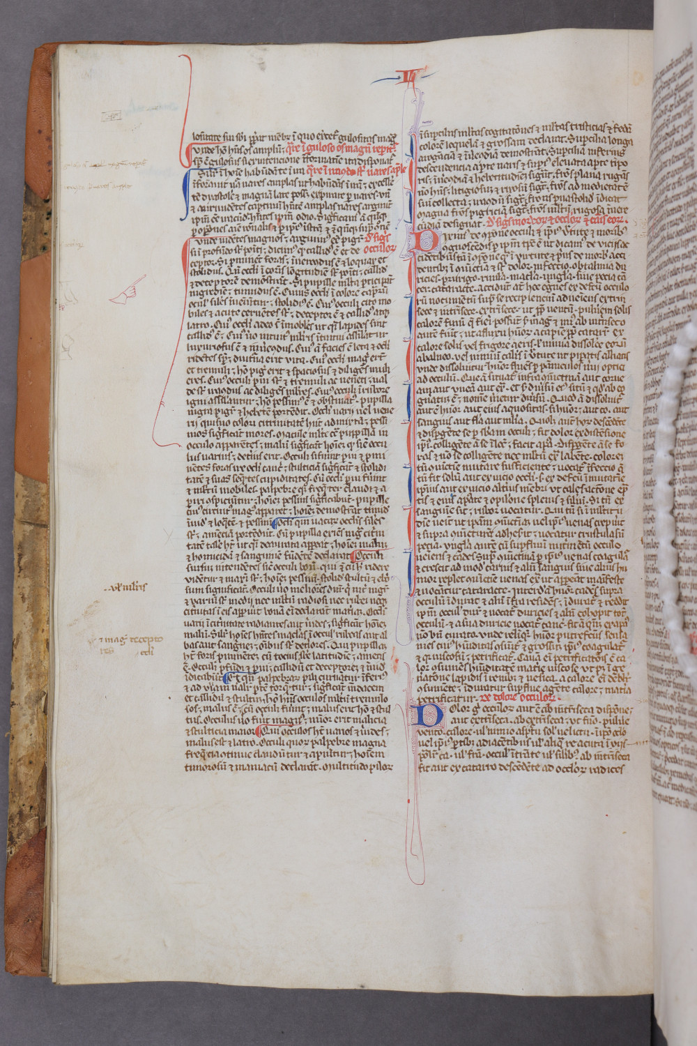 Folio 59 verso